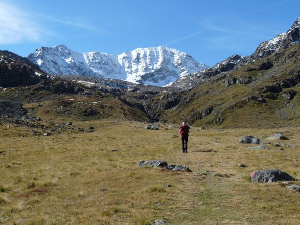 Über wunderschöne Böden und leicht gestuftes Gelände führt der Anstieg hinauf in &quot;Die Locher&quot;.