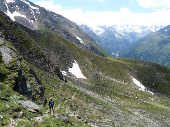 Anfangs etwas steil, führt der Steig nun auf der Westseite über alpine Rasen talwärts.