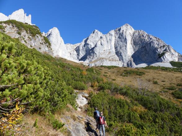 Ein schön angelegter Steig führt zwischen den Latschen hinauf zum Punkt 1697 m.