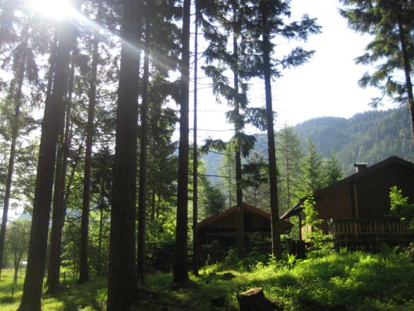 Beim Thiersee (05.06.2011)
