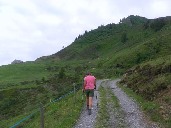 Weg zur Altgerachalpe