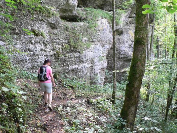 Steile Konglomeratwände