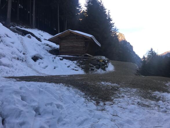 Wildfütterung am Forstweg zur Neubergalm