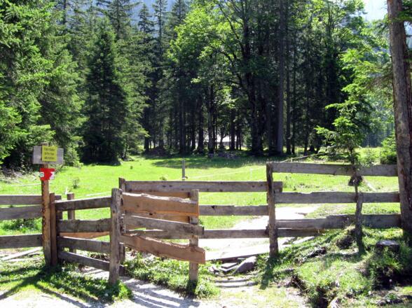 Hier ist Endstation für's Radl - Wer zur Alm möchte muß es hier abstellen. Versteckt in den Bäumen sieht man die Alm