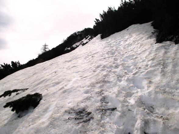 Ab über Schneefelder um 1600m zum Gipfel