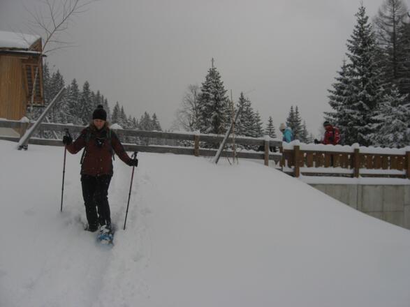 Einmal muß man kurz über einen Zaun steigen.