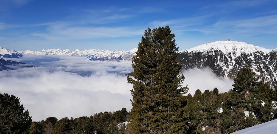 Blick zum Patscherkofel