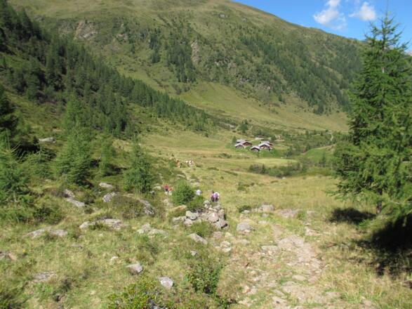 Blick auf die Brugger Alm