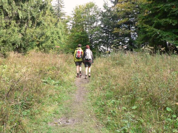 Über den breiten Grat Richtung Osten zur Anton-Schosser-Hütte