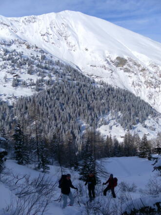 Ausstieg aus dem Waldgürtel mit Blick zum Frauenkogel