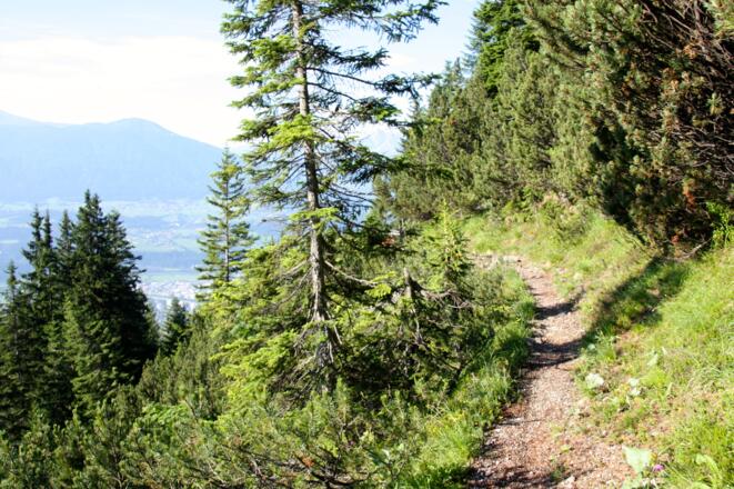 Steig kurz vor der roten Riepe