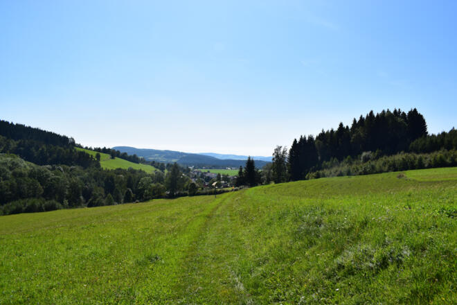 Rückweg nach Grünbach