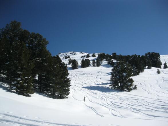 Ideales Skigelände