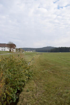 Die Feldaist in Oberpaßberg