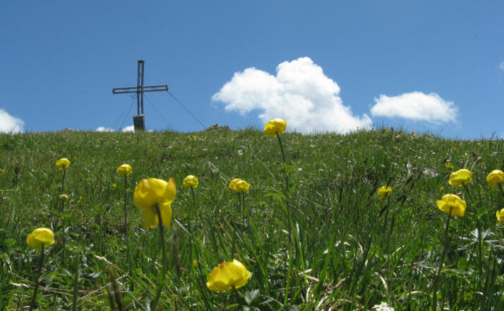 Die blumenübersäte weite Gipfelfläche lädt zur langen Rast ein!