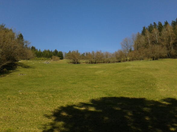 Braunbergwiese Giritzer