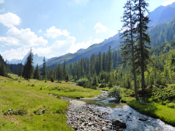 Hinteres Silbertal im Europaschutzgebiet Verwall