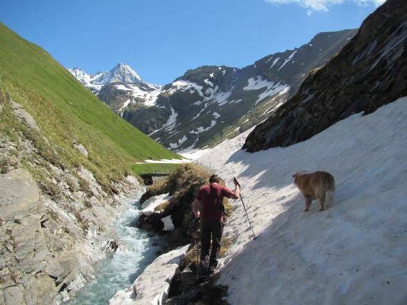 noch immer am Forstweg im Teischnitztal
