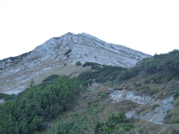 Der durchwegs steile Abstieg von der Seekarspitze. Das Gipfelkreuz ist noch gut erkennbar.