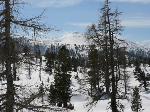 Blick nach Süden zum Angerkogel
