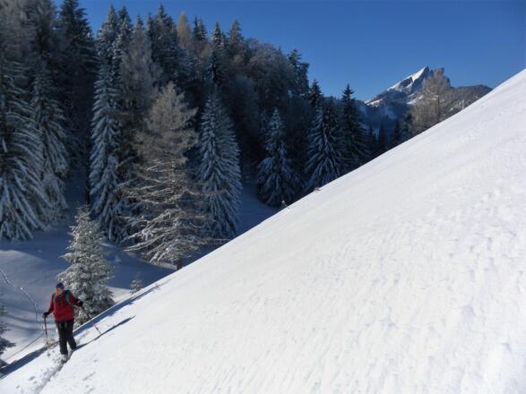 Gipfelhang und Schafberg