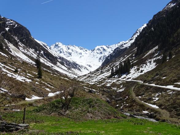 bei der Garneraalpe angekommen