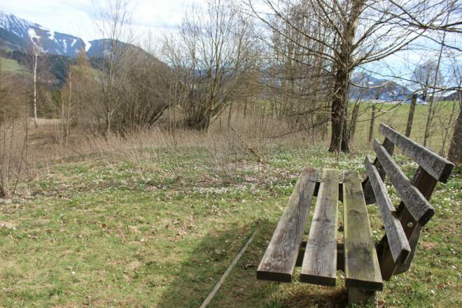 Bankerl beim Eingang zum Biotop am Gschwandtanger.