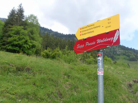 Sepp Poesie Waldweg
