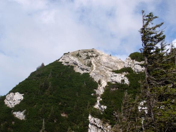 Auf der Mahdlschneid