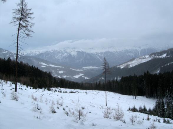 Über diese Waldschneise steigt man auf. Unten am Waldrand kann man schwach den Forstweg erkennen über den man aufgestiegen ist.