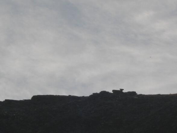 Blick auf's Lamm - das ist das Ziel.