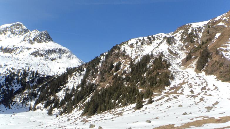 Aufstieg über den Winterweg bis zur Alpeiner Alm