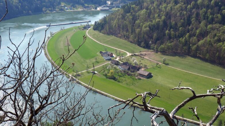 Steinerfelsen 543m, Tiefblick Au