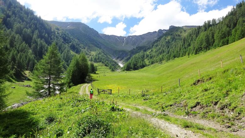 Entlang des Pliderlingbachs, hinten links die Scheibenspitze, rechts unser Ziel, die Schafseitenspitze.