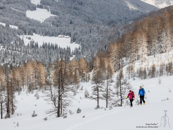 von der Ochsenalm im lichten Bergwald ansteigen