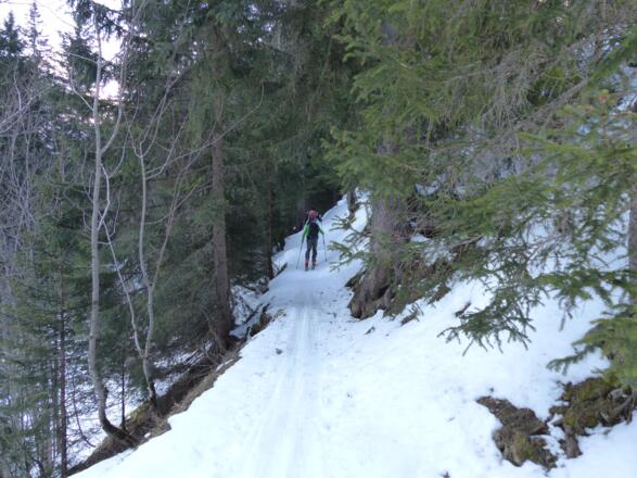 Wir folgen dem Wanderweg durch den Wald.