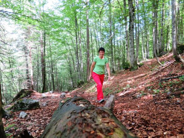 Romantisch gehts weiter ...