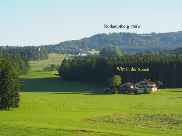 Wenig später sieh man auch das Ziel der Wanderung den Rothauptberg im Hausruckwald