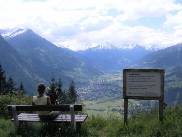 Bürgermeisterblick