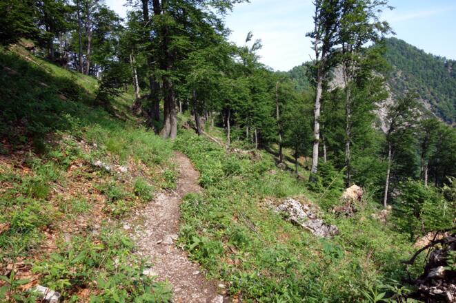 Querung 1160m bis 1260m