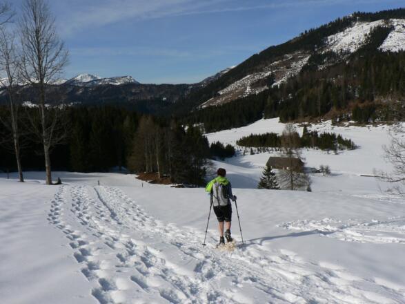 Über die freien Wiesenhänge rechts von der Egglalm hinunter auf den "Proviantweg"