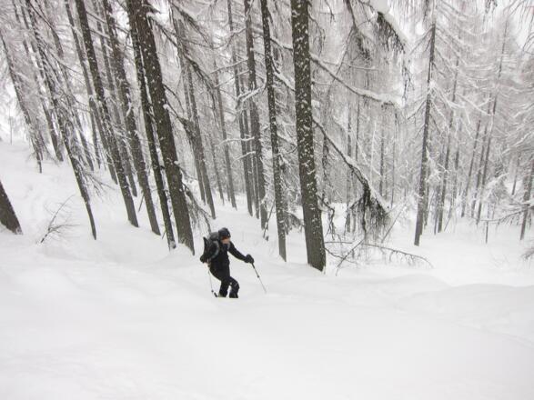 Durch den Wald bergauf