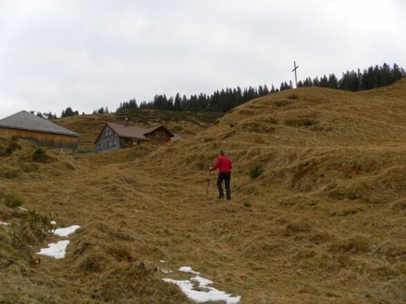 Gapfohler Alpe