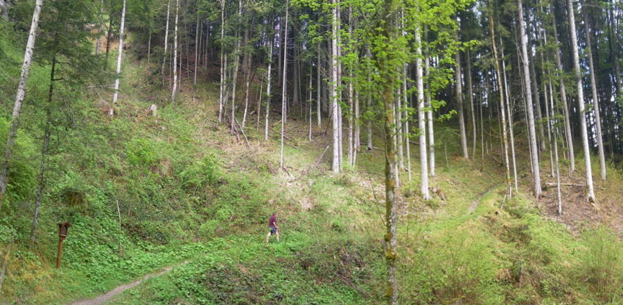 Grabenquerung am Kreuzweg