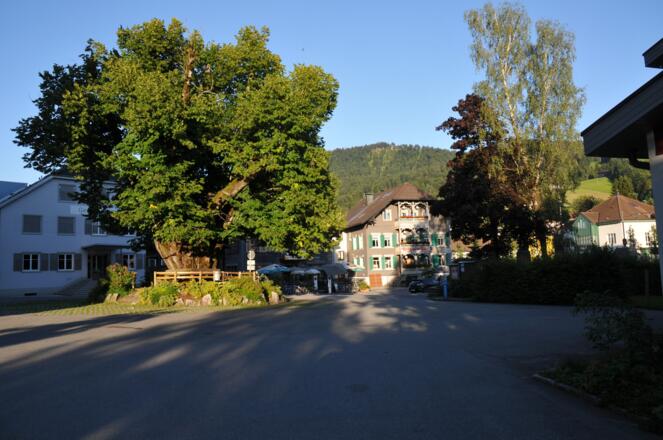 Brüggelekopf Hausberg von Alberschwende