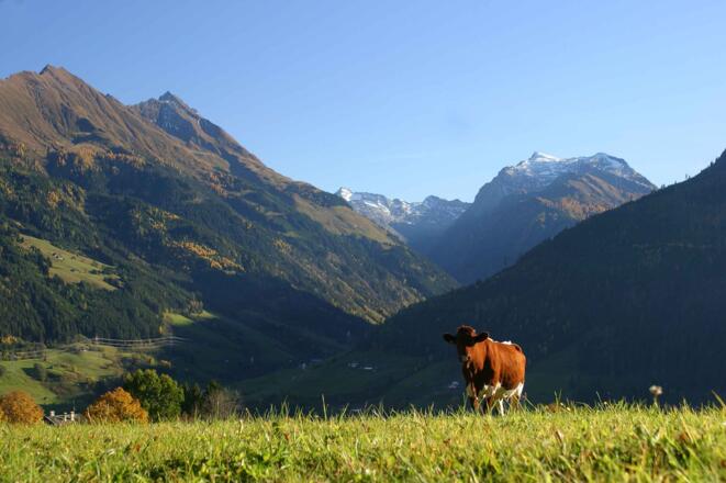 Blick in die Hohen Tauern