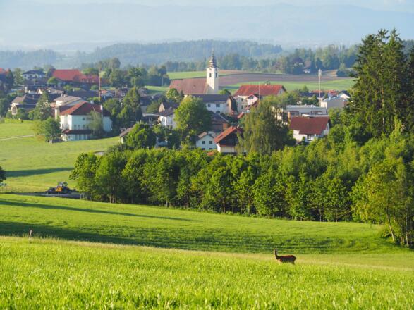 Eine schöne Wanderung durch den "Litzingerforst" ist zu Ende.