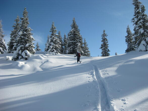 traumhaftes Skiwandergelände nahe des Gipfels