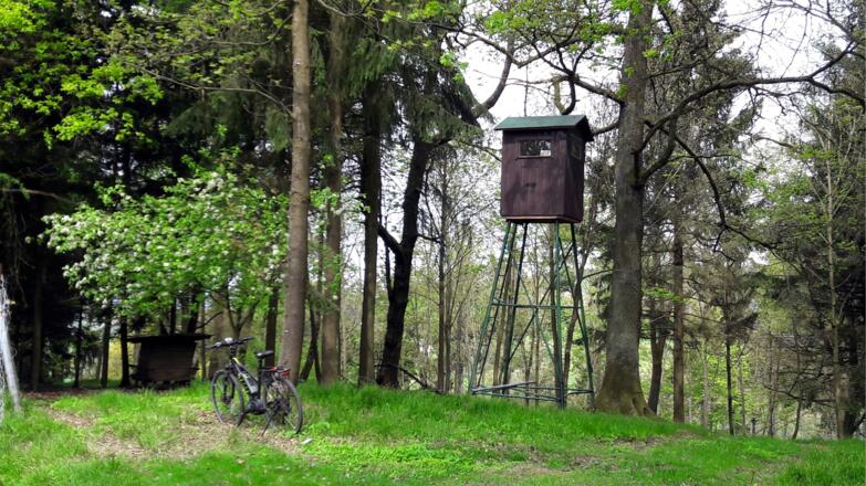 Kirnberg 435m, Gipfelplateau