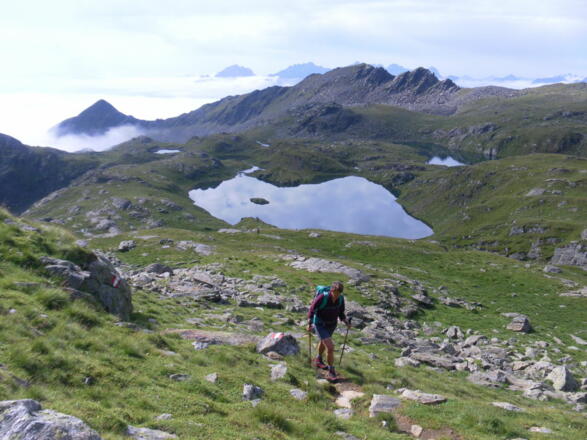 Neualplsee